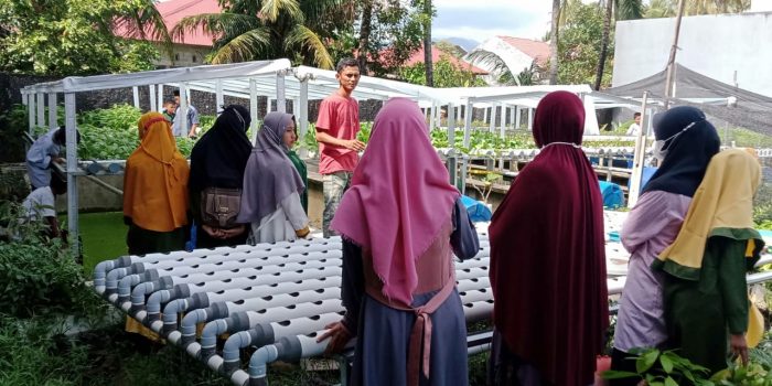 Hidroponik 55 Siap Sukseskan Ketahanan Pangan Kota Padang